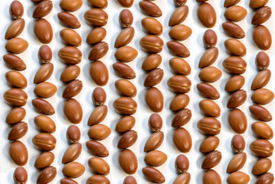 ORGANIC ARGAN OIL