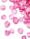 ROSE WATER