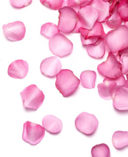 ROSE WATER