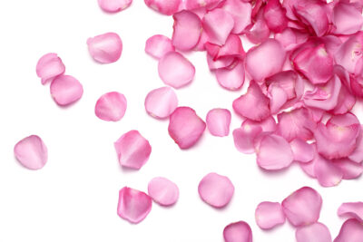 ROSE WATER