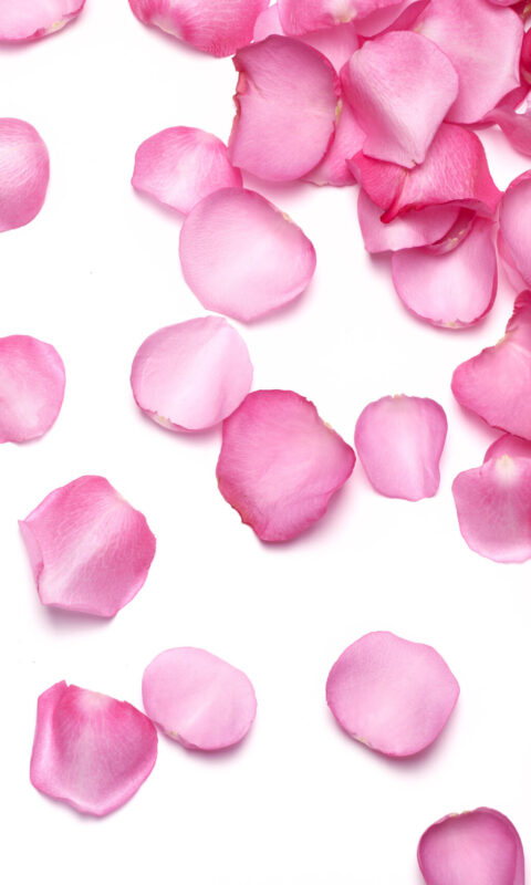 ROSE WATER