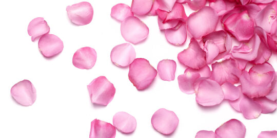 ROSE WATER