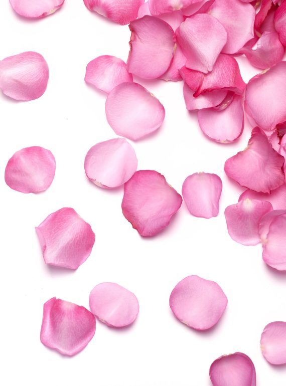 ROSE WATER