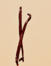 VANILLA