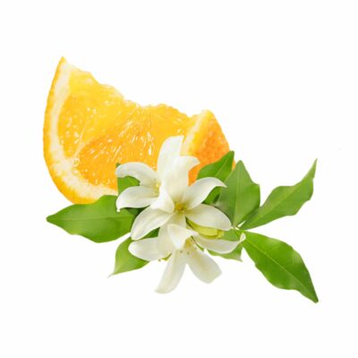 ORANGE FLOWER