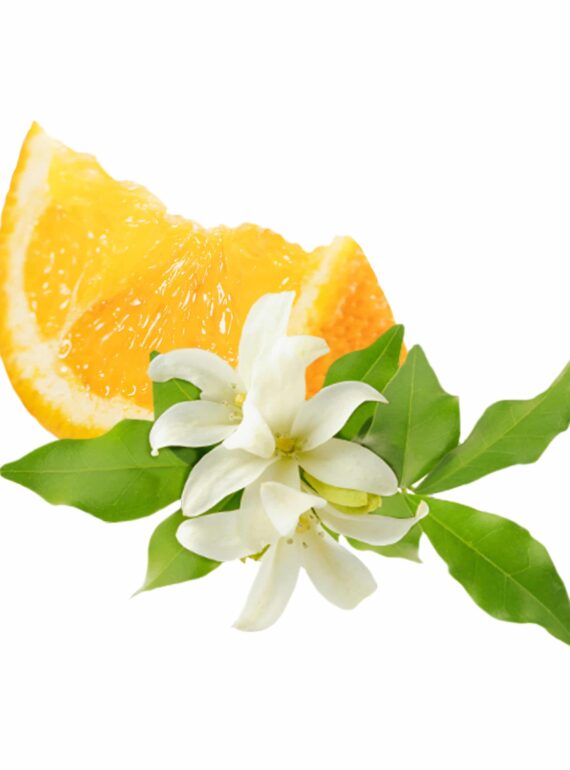 ORANGE FLOWER