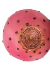 PRICKLY PEAR FRUIT