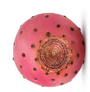 PRICKLY PEAR FRUIT